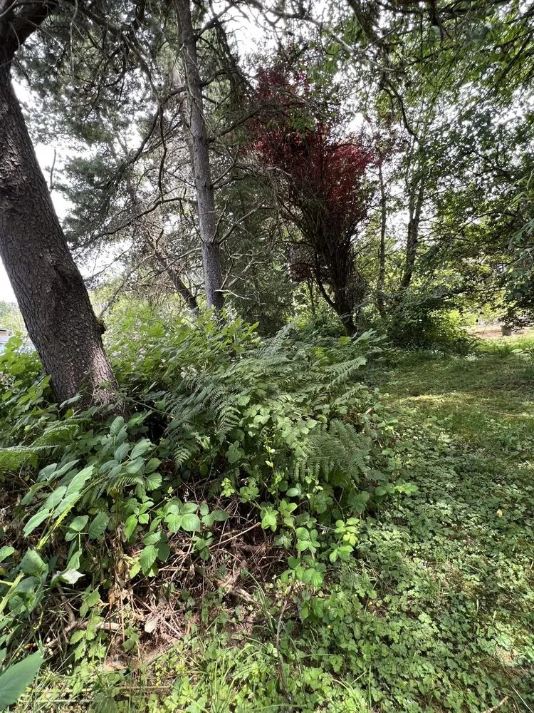 Custom residential landscaping with custom design in Monroe, WA by Luxury Landscaping Services