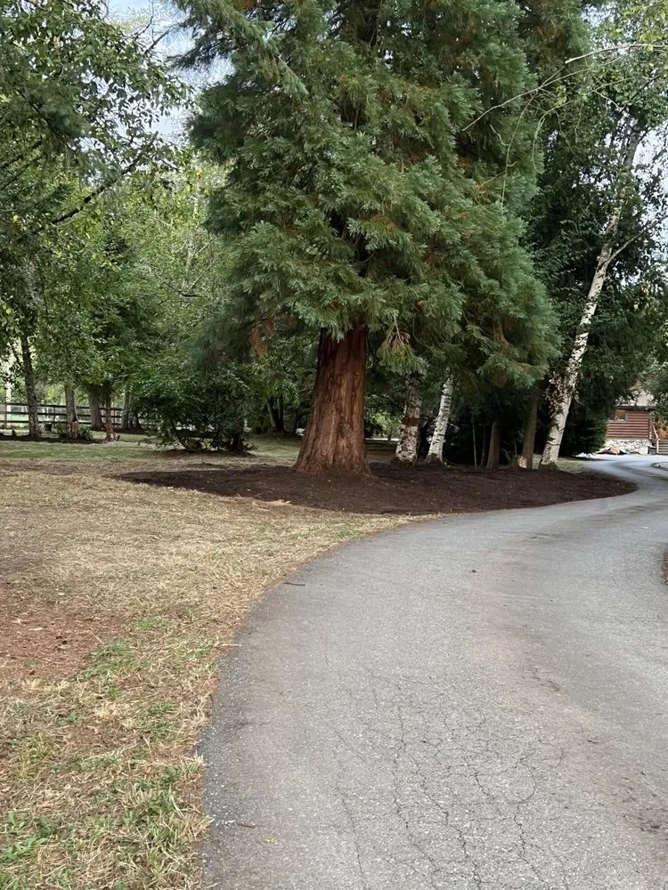 Affordable landscaping services in Monroe, WA - Luxury Landscaping Services