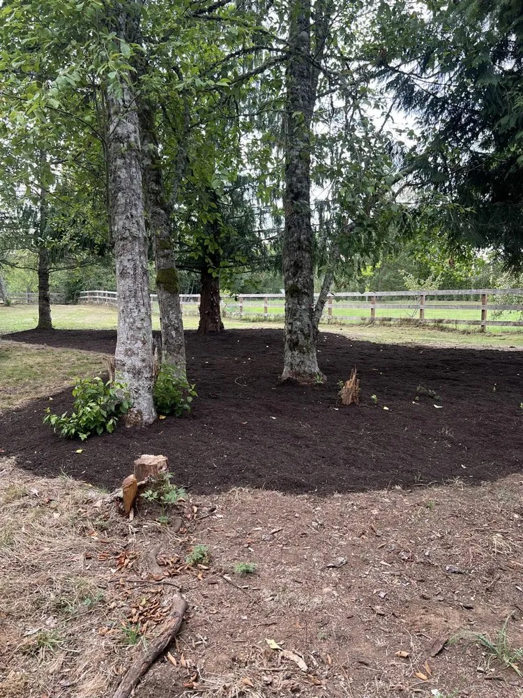 Reliable yard maintenance in Monroe, WA - Luxury Landscaping Services