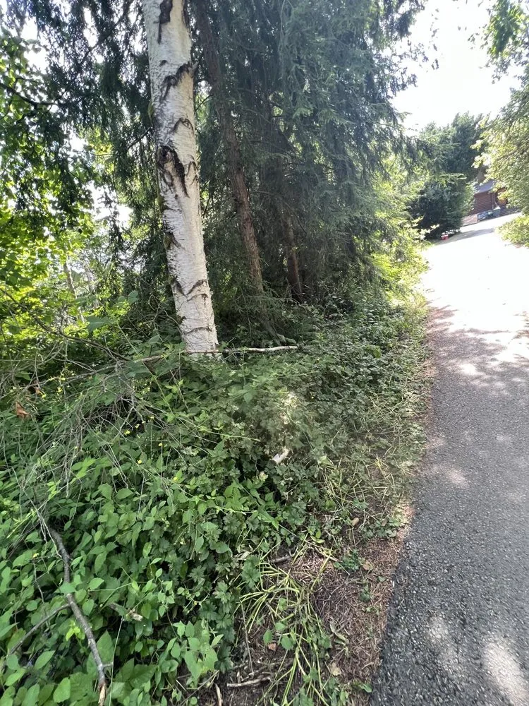 Local lawn mowing service in Monroe, WA - Luxury Landscaping Services