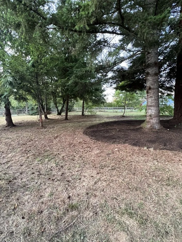 Local landscape design in Monroe, WA - Luxury Landscaping Services