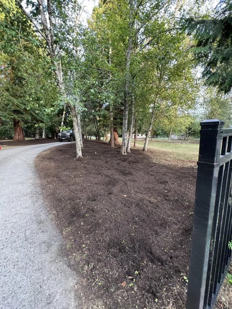 Local yard maintenance for year-round maintenance in Monroe, WA by Luxury Landscaping Services