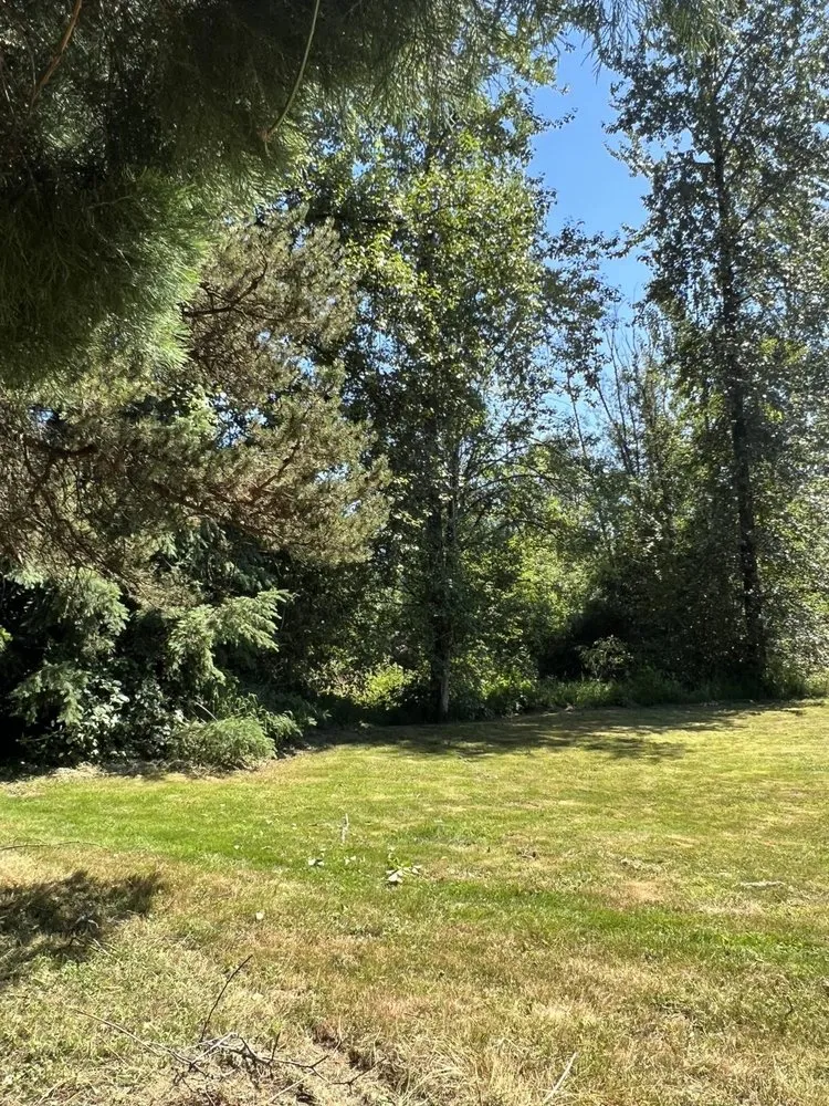 Reliable landscape design in Monroe, WA by Luxury Landscaping Services