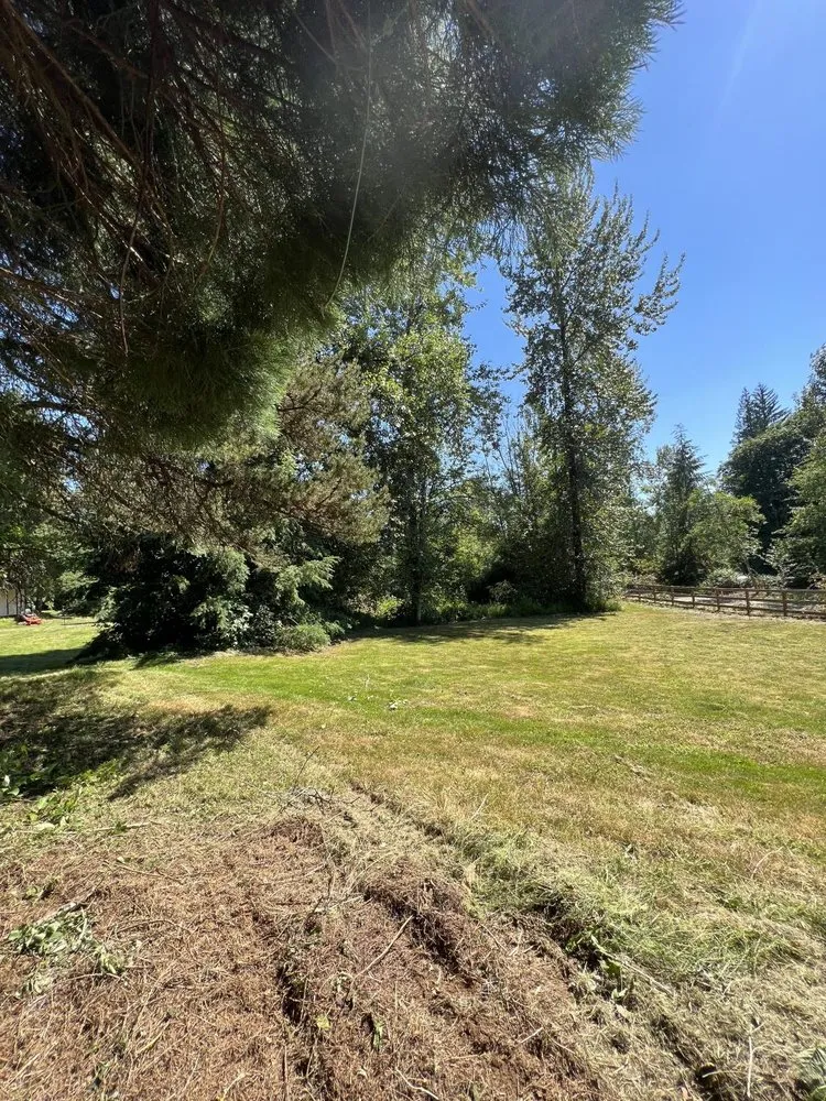 Reliable residential landscaping experts serving Monroe, WA - Luxury Landscaping Services