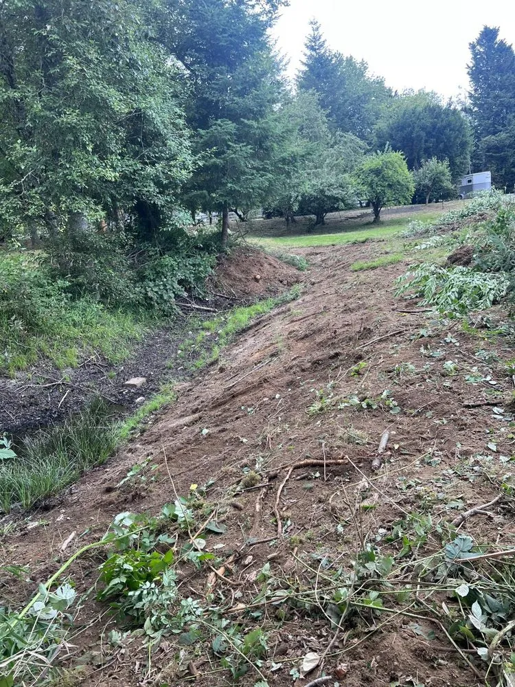 Affordable landscaping services for homes across Monroe, WA - Luxury Landscaping Services