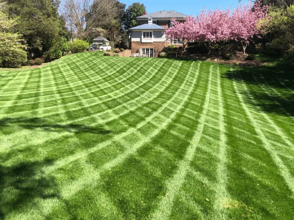 Local residential landscaping in Brookings, OR - Luxury Landscaps