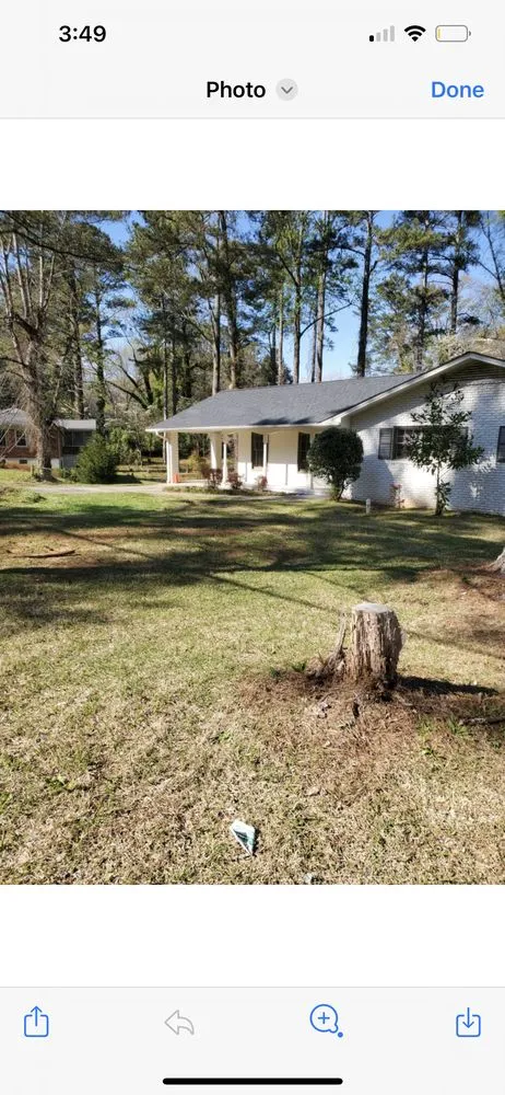 Local yard cleanup service experts serving Valley, AL - Luxury Lawn & Maintenance