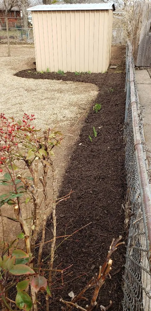 Expert yard cleanup service experts serving Guthrie, OK - Luxury lawn and landscaping