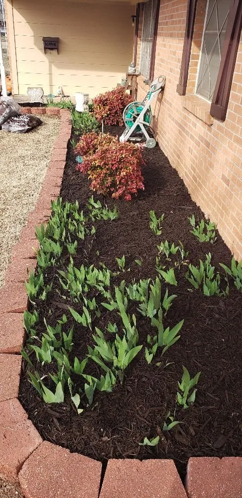 Affordable outdoor landscaping with custom design across Guthrie, OK - Luxury lawn and landscaping