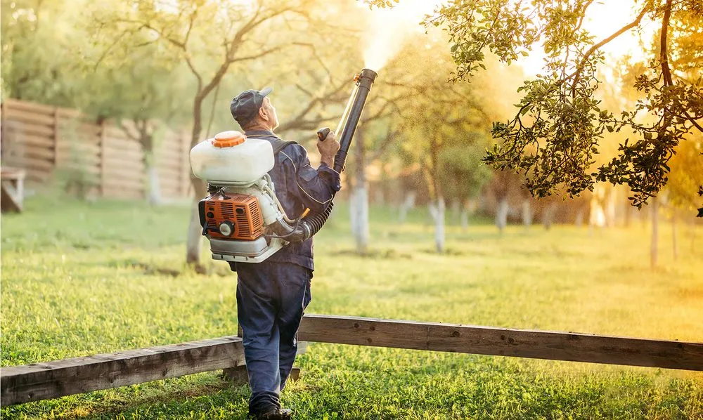 Trusted garden landscaping in Murfreesboro, TN - Luxury Lawn and Mosquito