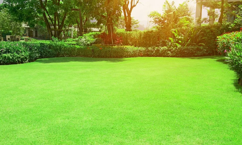 Reliable yard maintenance for residential properties in Murfreesboro, TN by Luxury Lawn and Mosquito