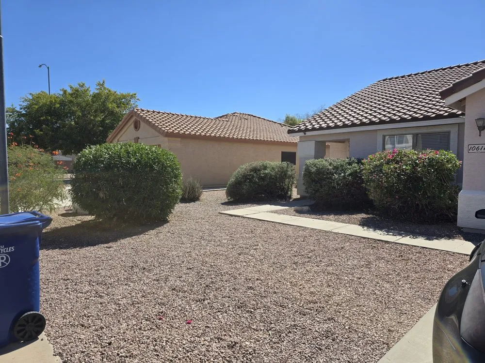 Local landscape design in Apache Junction, AZ by Luxury Lawn Care