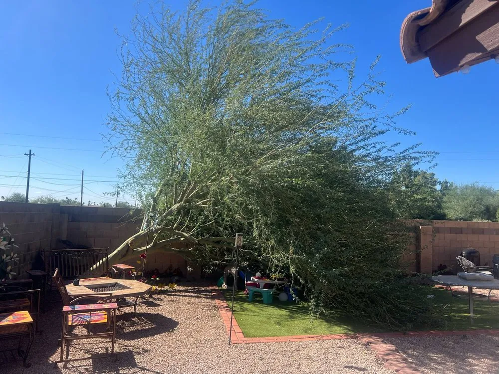 Affordable landscape installation for year-round maintenance across Apache Junction, AZ - Luxury Lawn Care