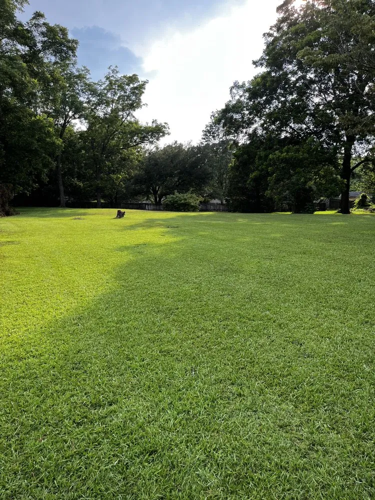 Custom lawn care service for outdoor upgrades in Auburn, AL by Luxury Lawn Care