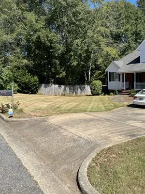 Luxury Lawn Care Logo