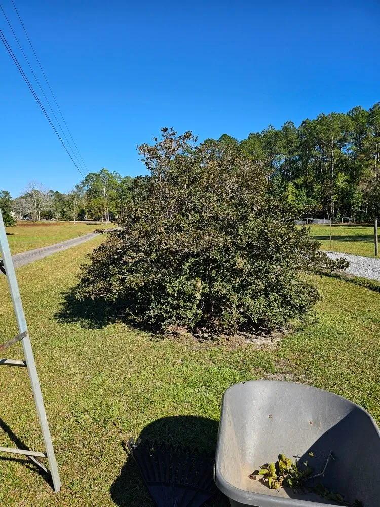 Affordable landscaping services in Biloxi, MS - Luxury Lawn Care