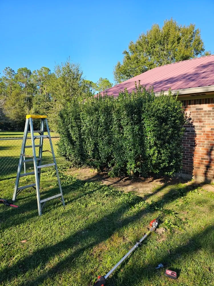 Trusted garden landscaping experts serving Biloxi, MS - Luxury Lawn Care