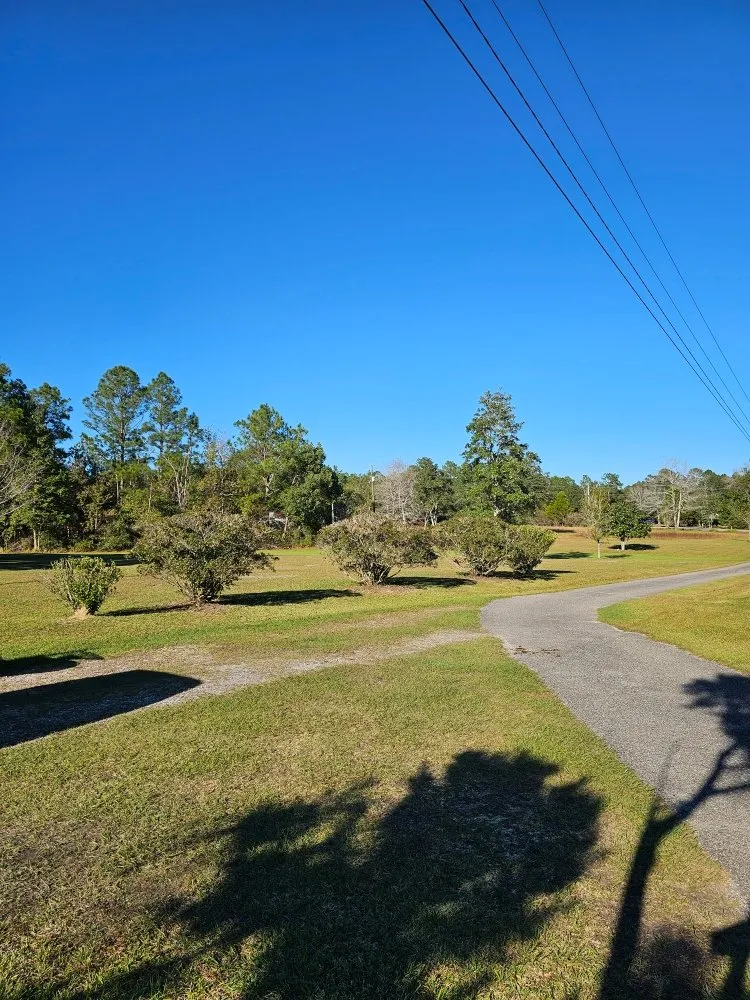 Reliable yard maintenance in Biloxi, MS - Luxury Lawn Care