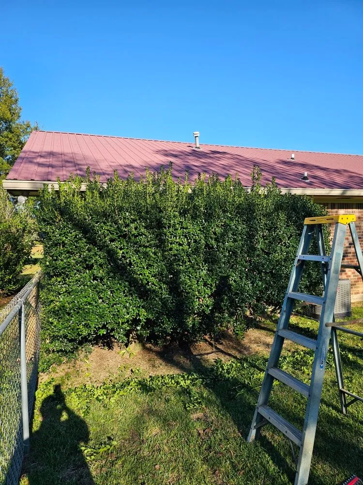 Custom lawn care service in Biloxi, MS - Luxury Lawn Care