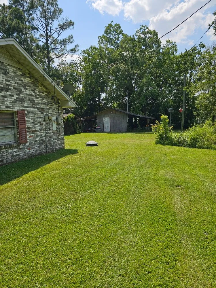 Reliable landscape design in Biloxi, MS by Luxury Lawn Care