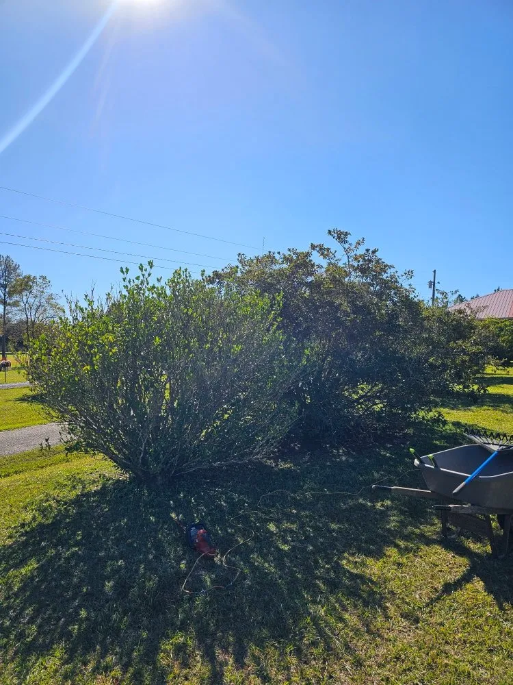 Trusted landscaping services for residential properties across Biloxi, MS - Luxury Lawn Care