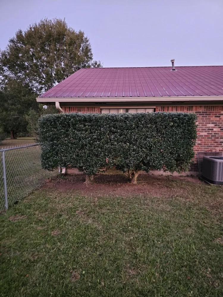 Local lawn mowing service in Biloxi, MS by Luxury Lawn Care