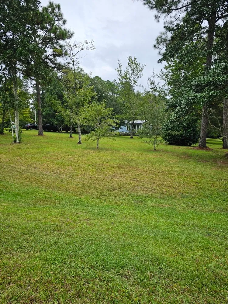 Local garden landscaping experts serving Biloxi, MS - Luxury Lawn Care