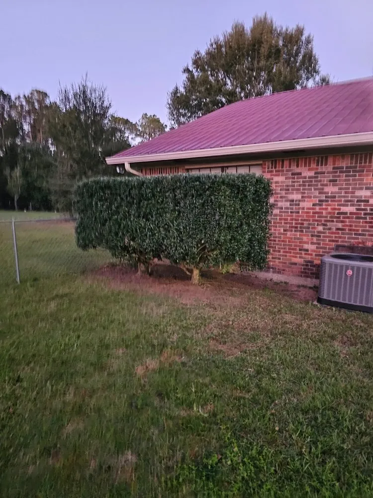 Reliable residential landscaping experts serving Biloxi, MS - Luxury Lawn Care