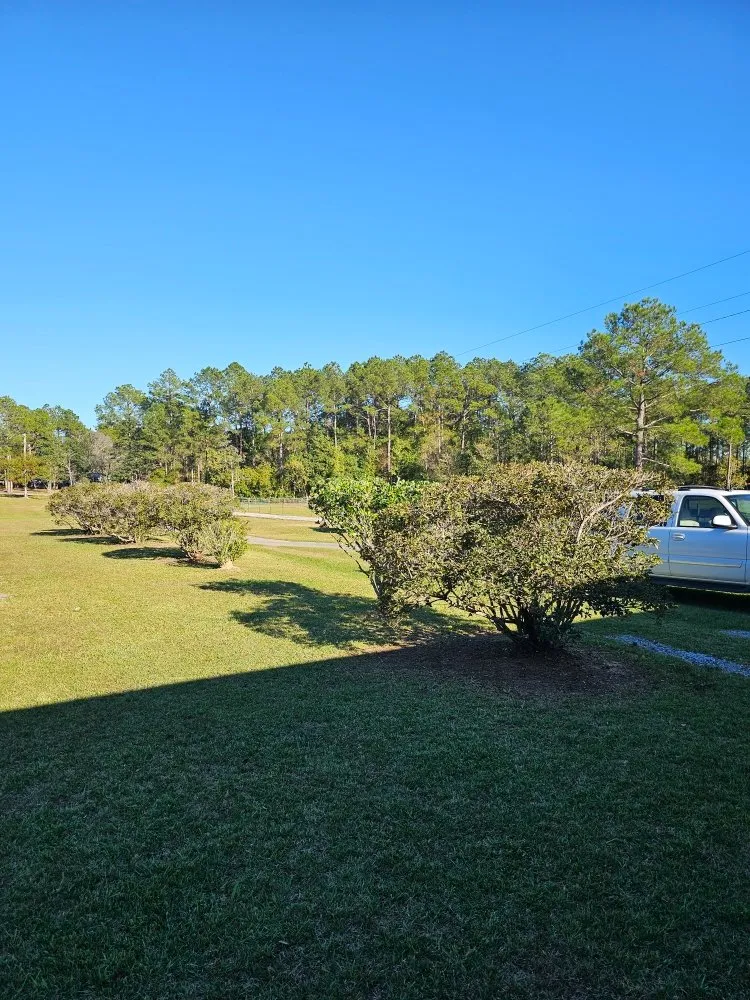 Custom lawn care service experts serving Biloxi, MS - Luxury Lawn Care