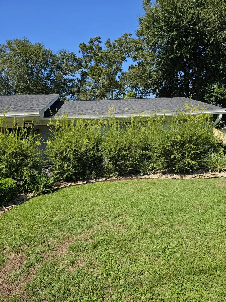 Trusted lawn care service for outdoor upgrades in Biloxi, MS by Luxury Lawn Care