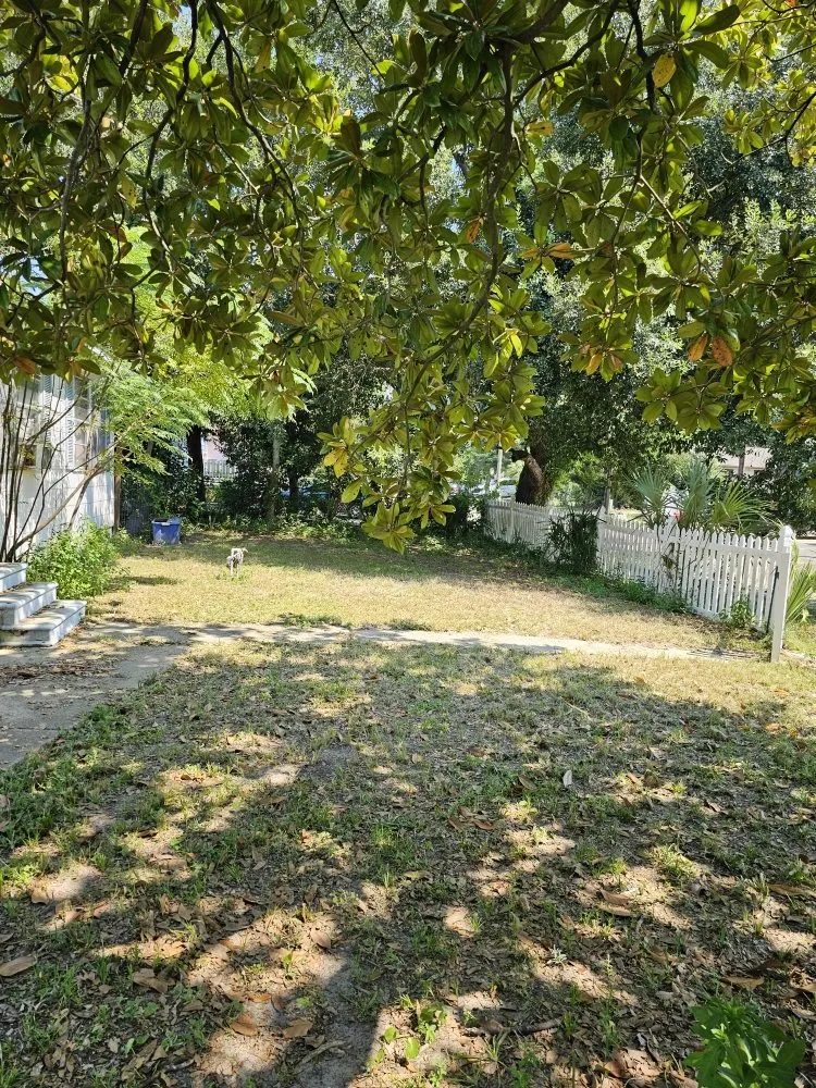 Top-rated lawn care service in Biloxi, MS by Luxury Lawn Care