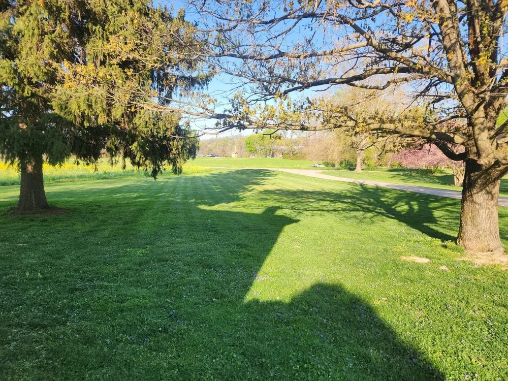 Reliable landscape design for outdoor upgrades across Ghent, KY - Luxury Lawn Care