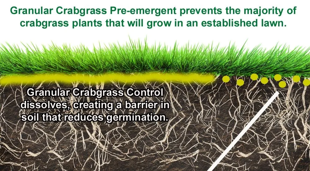 Reliable outdoor landscaping experts serving Jackson, MO - Luxury Lawn Services