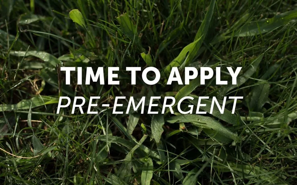 Reliable landscaping services experts serving Jackson, MO - Luxury Lawn Services