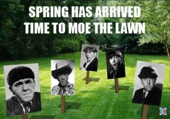 Custom landscape design for residential properties across Jackson, MO - Luxury Lawn Services