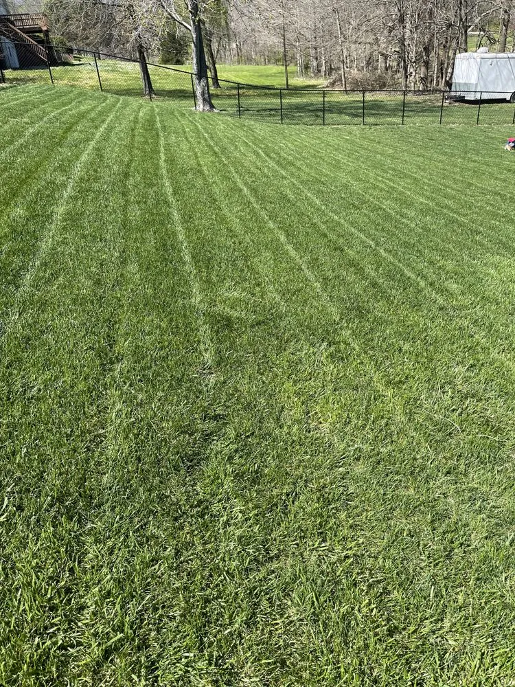 Local outdoor landscaping for beautiful yards in Jackson, MO by Luxury Lawn Services
