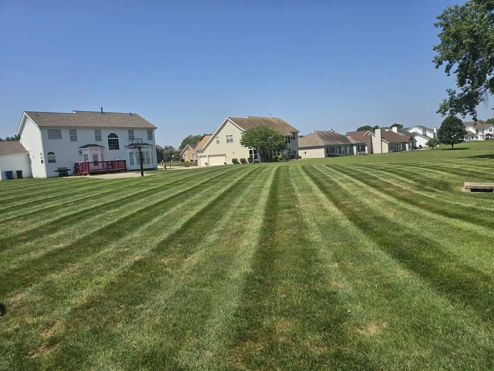 Affordable landscape installation experts serving Florissant, MO - Luxury Lawncare and Property Management