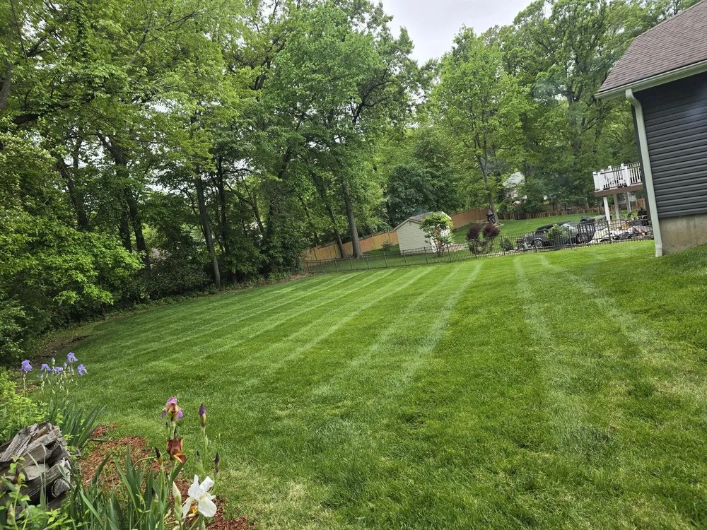 Affordable yard cleanup service experts serving Florissant, MO - Luxury Lawncare and Property Management