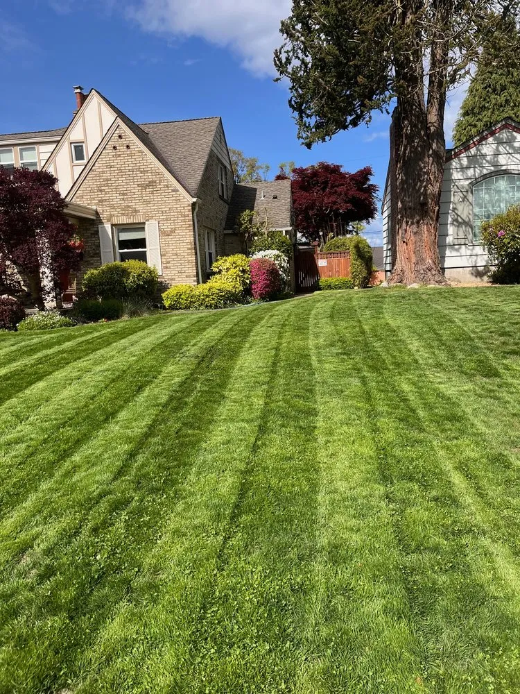 Trusted landscaping services experts serving Arlington, WA - Luxury Lawncare