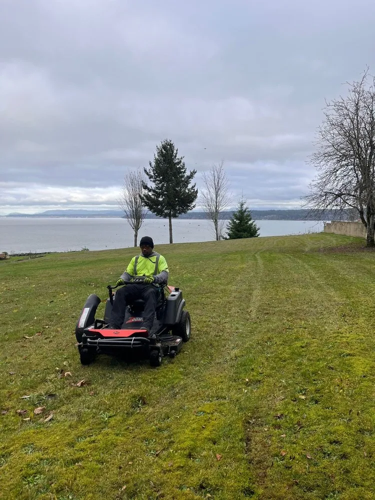 Expert yard cleanup service in Arlington, WA by Luxury Lawncare