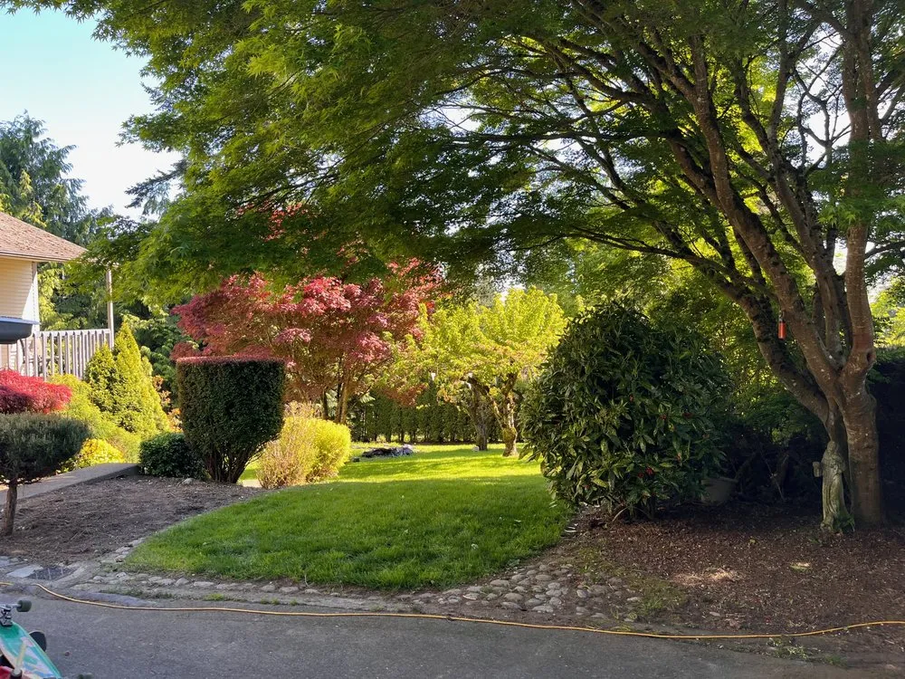 Reliable landscaping services in Arlington, WA by Luxury Lawncare