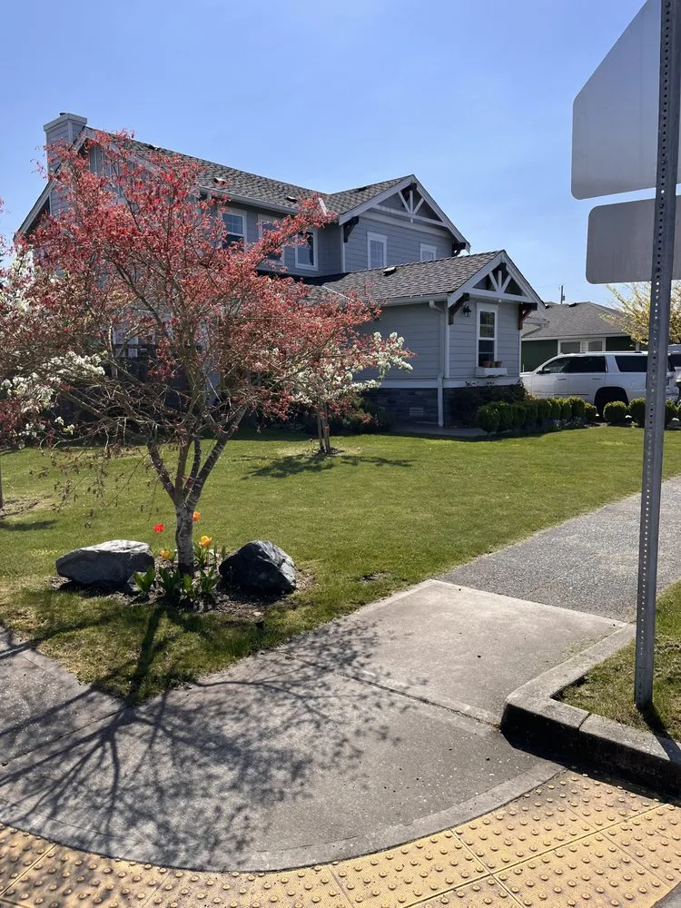 Professional outdoor landscaping in Arlington, WA - Luxury Lawncare