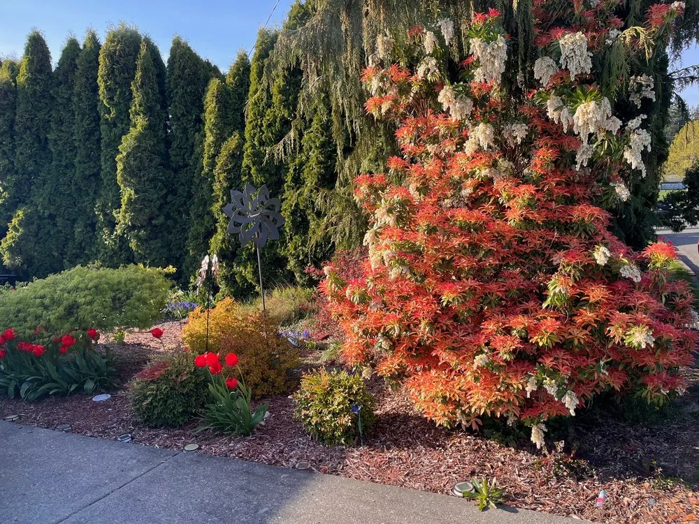 Affordable landscaping services experts serving Arlington, WA - Luxury Lawncare