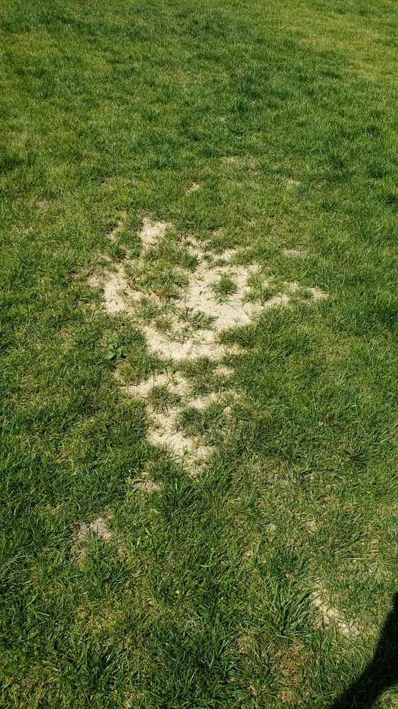 Trusted lawn care service for outdoor upgrades across Medina, OH - Luxury Lawns & Landscaping