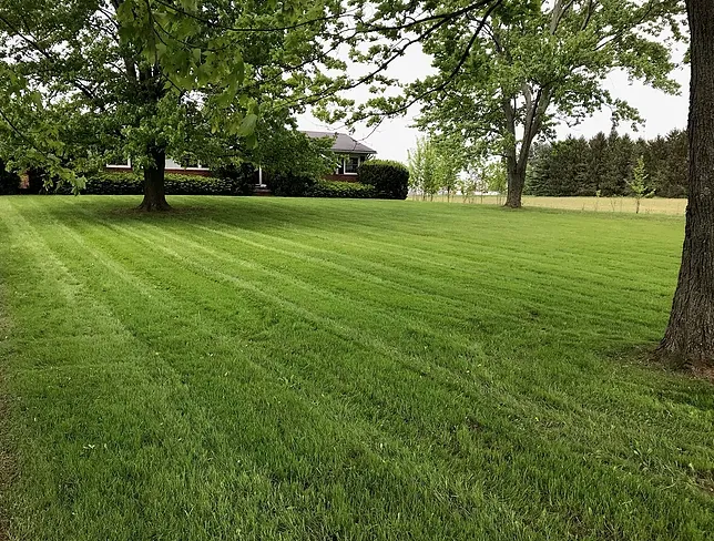 Custom garden landscaping experts serving Medina, OH - Luxury Lawns & Landscaping