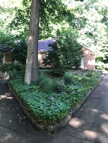 Local lawn care service for year-round maintenance in Medina, OH by Luxury Lawns & Landscaping