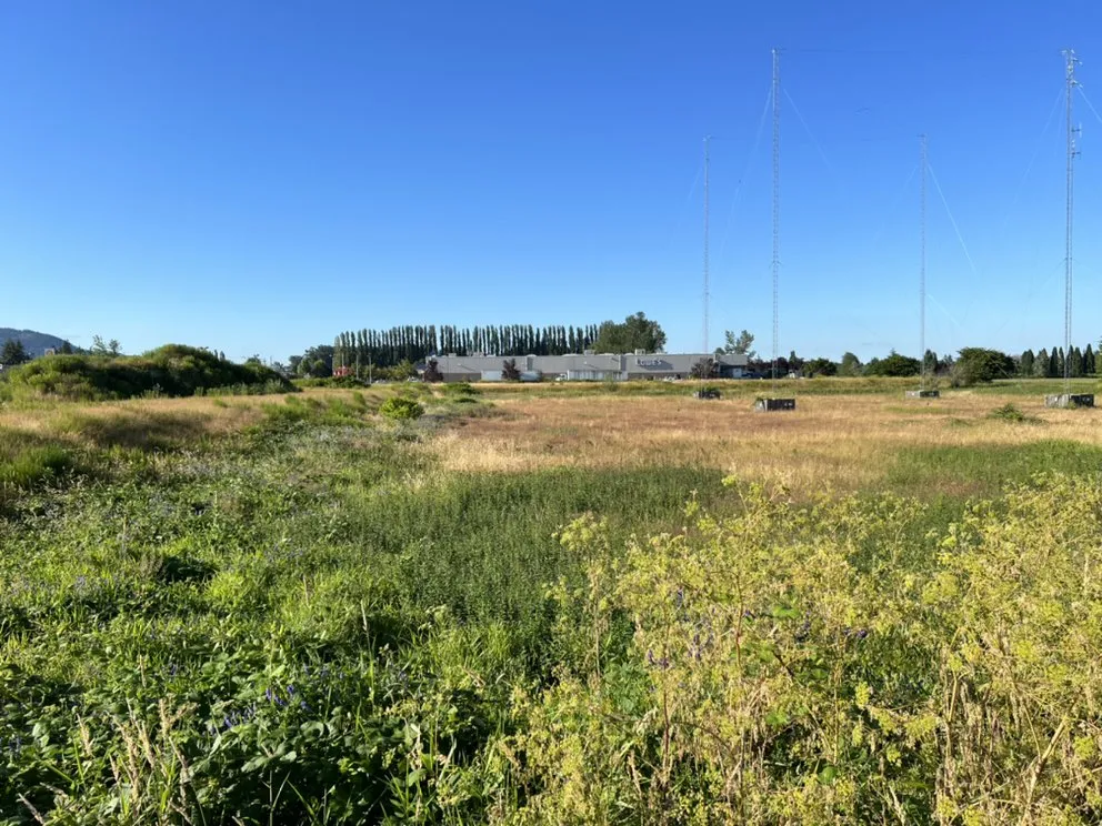 Affordable residential landscaping in Mount Vernon, WA - luxury lawns and services