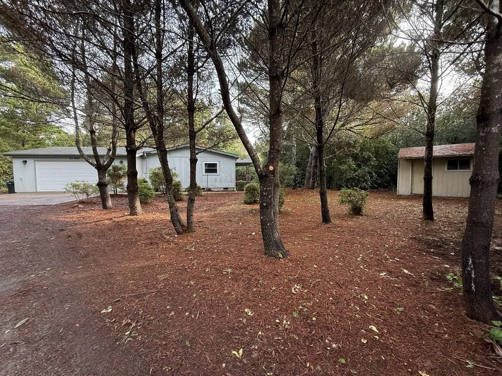 Local yard maintenance in Florence, OR - Luxury Lawns