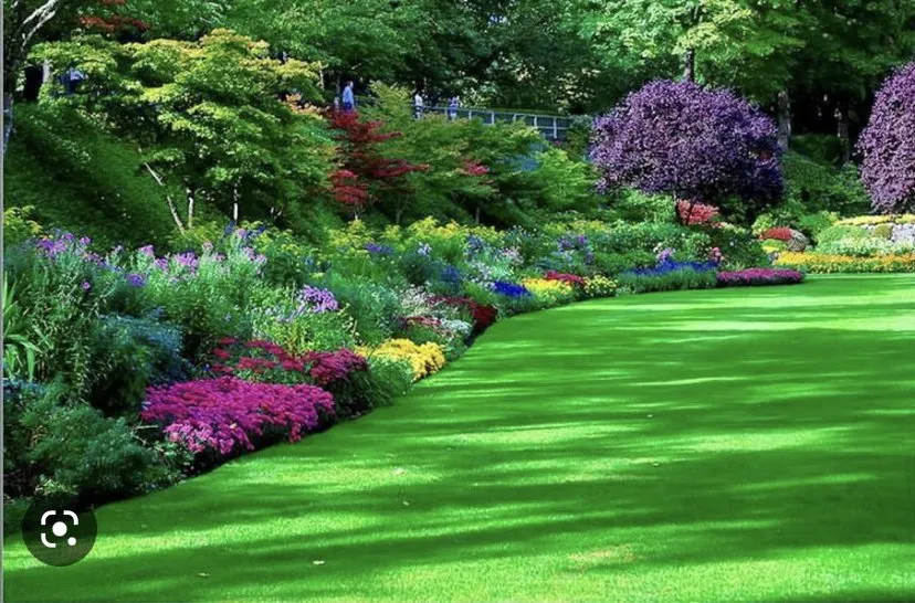 Local landscape design experts serving Florence, OR - Luxury Lawns