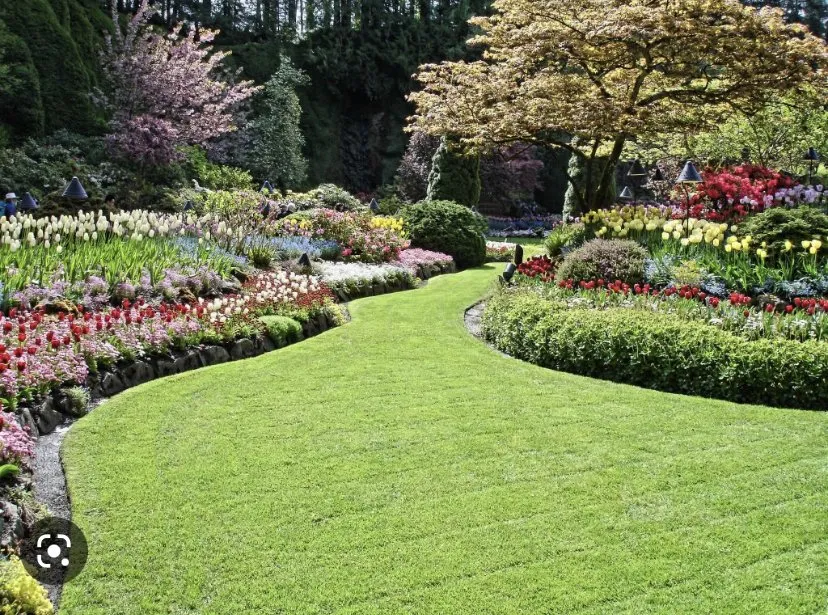 Professional landscape installation for outdoor upgrades in Florence, OR by Luxury Lawns